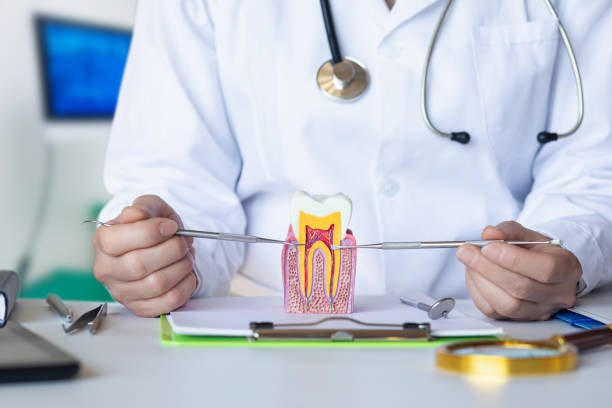 Best After-Hours Emergency Dentist in Whitg, IN